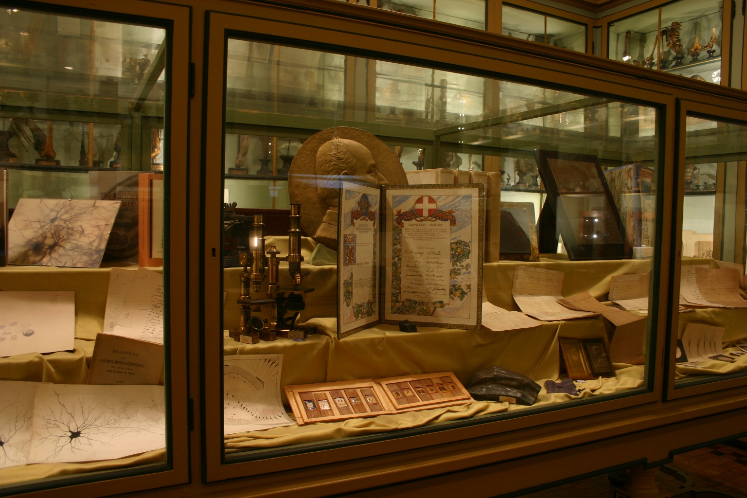 Camillo Golgi's memorabilia, Museo per la Storia dell'Università, Pavia - 02.JPG